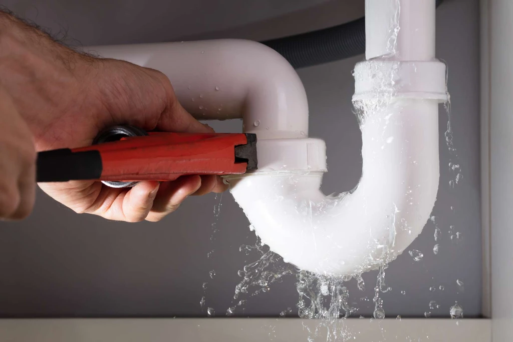 water leak repair Tampa Bay